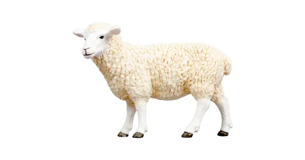 Schleich Farm World 13882 Schaf
