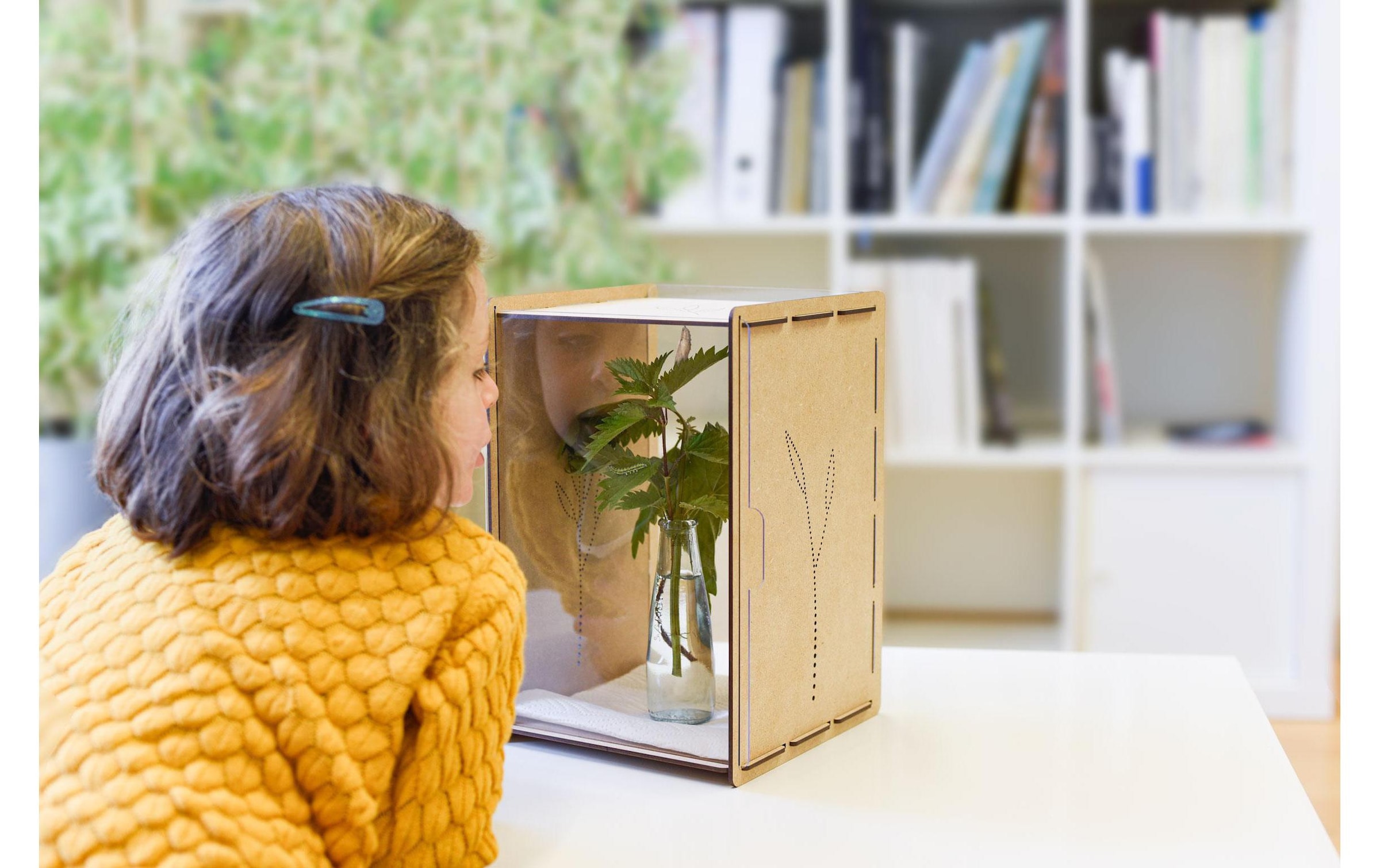 Insektenhotel »Mein Raupenkasten«
