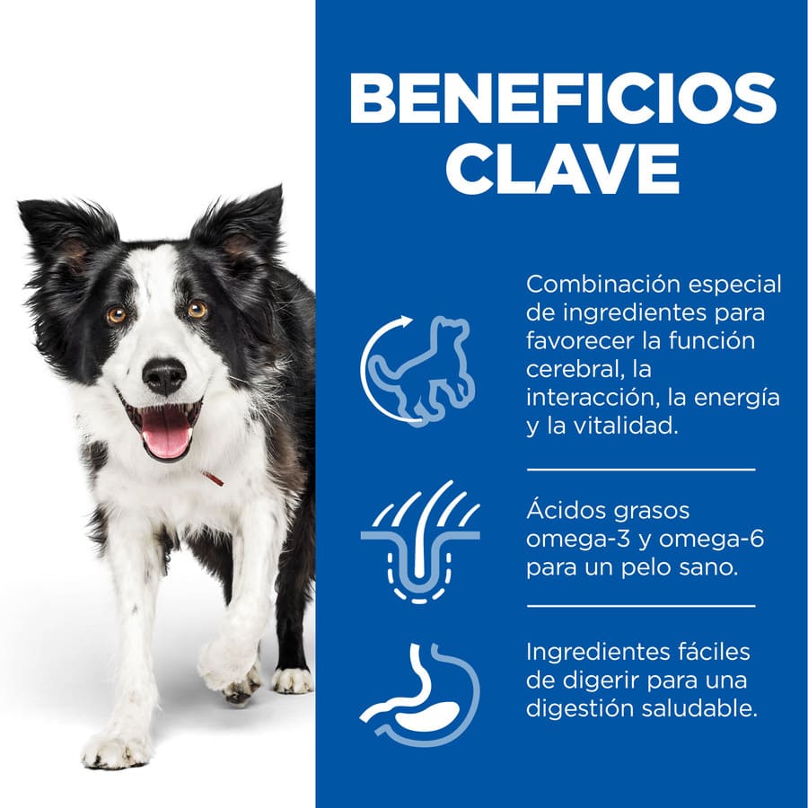 Hill's Science Plan Youthful Vitality Médio Adulto Frango para cachorros
