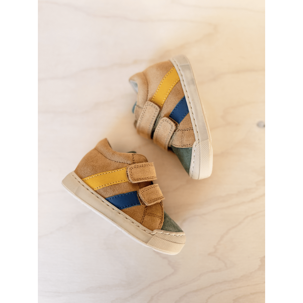 FALCOTTO - Sneaker met stootneus - Gazer