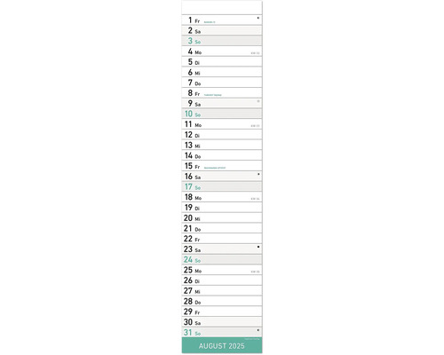 Mint strip planner 2025 11,3x49,5 cm