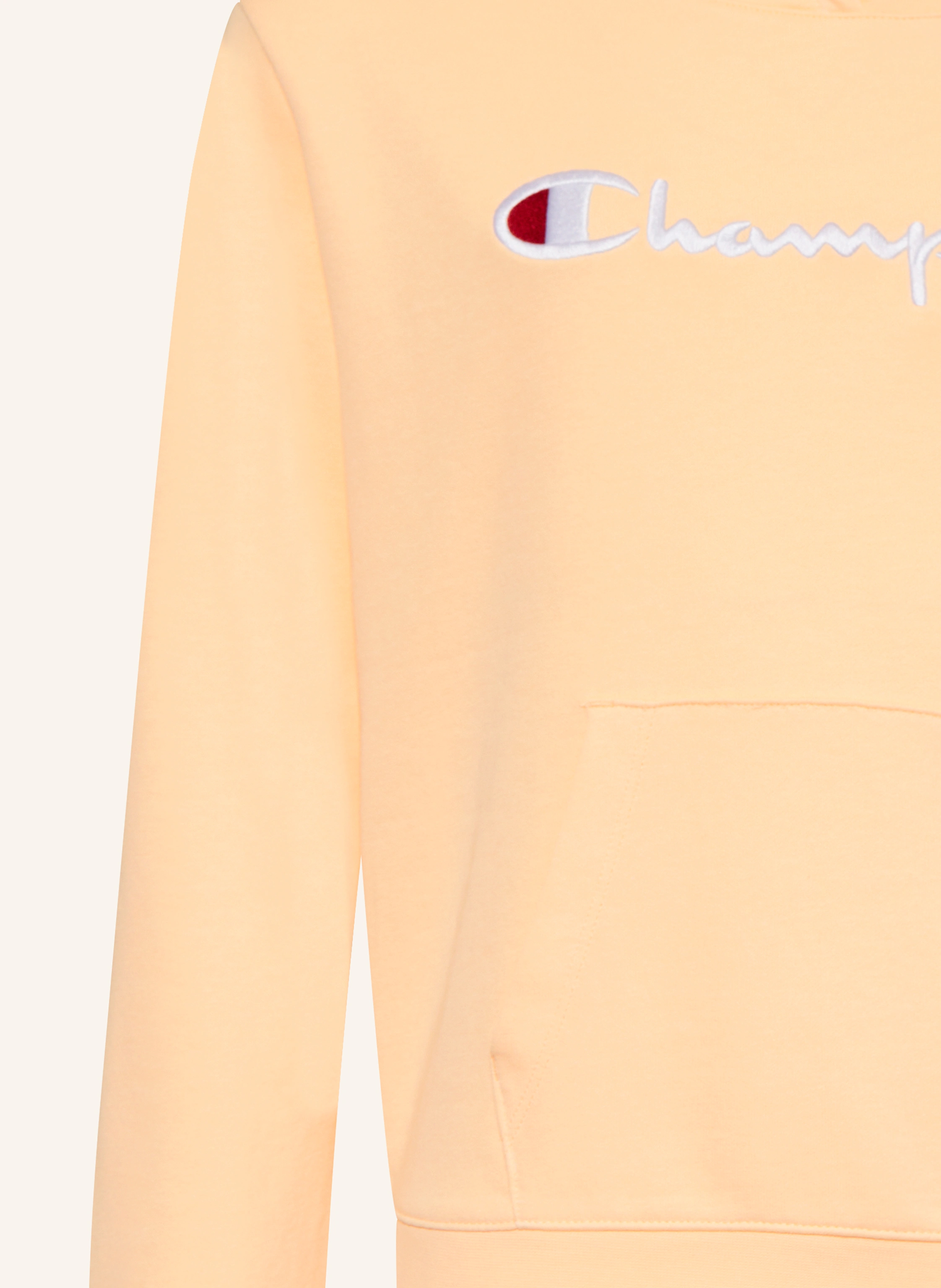 Champion Hoodie