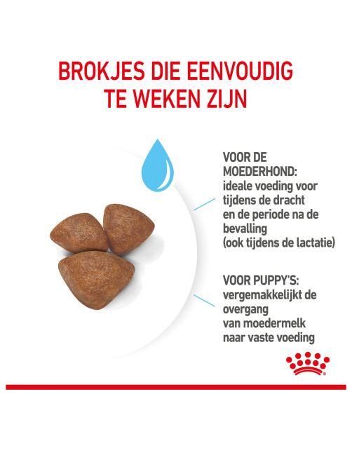 Royal Canin Mini Starter Mother & Babydog - Puppy-Hondenvoer
