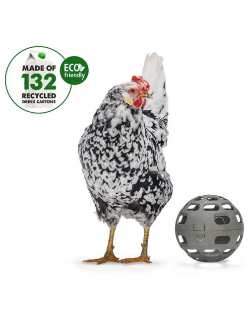 Beeztees Kip Snackbal - Kippenspeeltje - 15 cm Grijs Groen