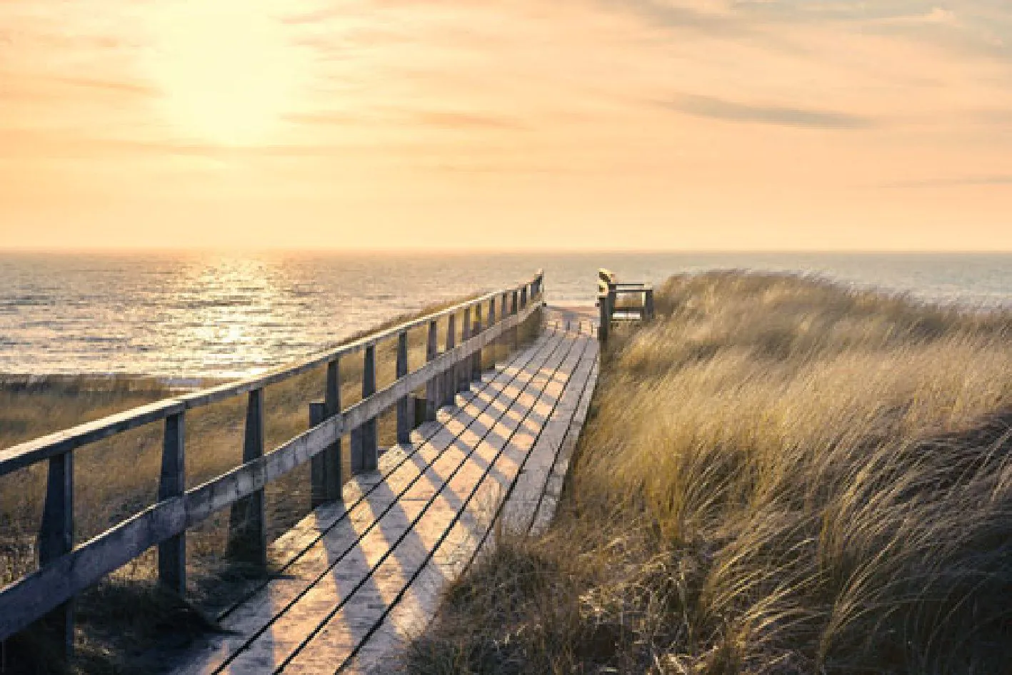 Poster Way to the Sea, 61 x 91 cm