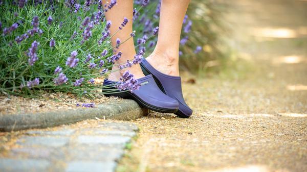 Blackfox Clog Mellow