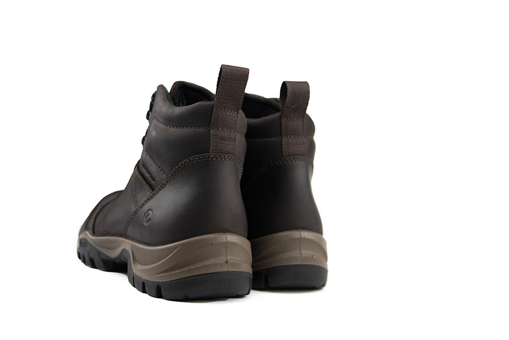 Ecco Xpedition III WP Boot Coffee
