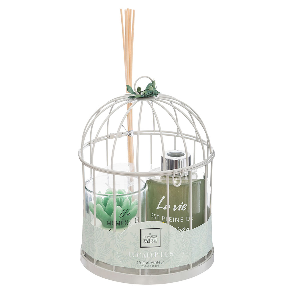 Coffret senteur cage diffuseur et bougie eucalyptus