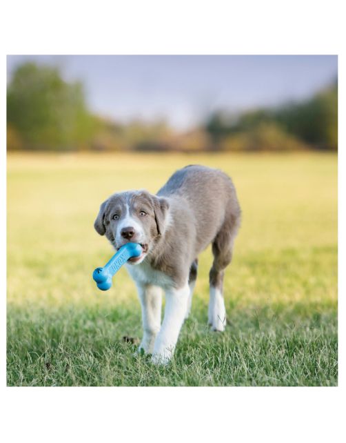 Kong Puppy Goodie Bone - Hondenspeelgoed