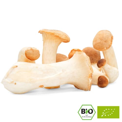 Bio Kräuterseitlinge, Schale