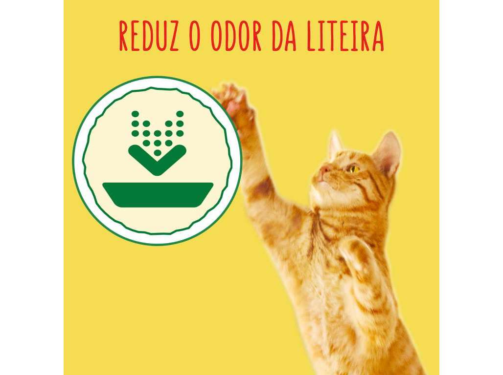 RAÇÃO PARA GATO FRISKIES GATOS DE INTERIOR 3KG