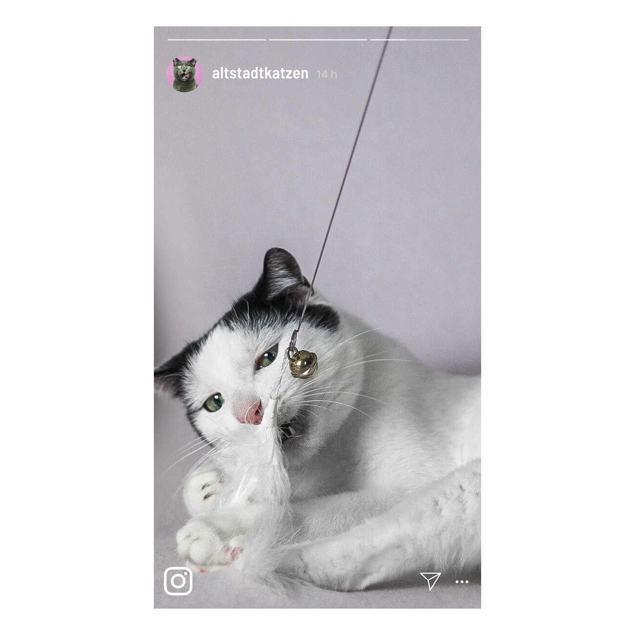 Kater Kasimir Katzenangel Set aus Buchenholz mit 4 handgemachten Anhängern