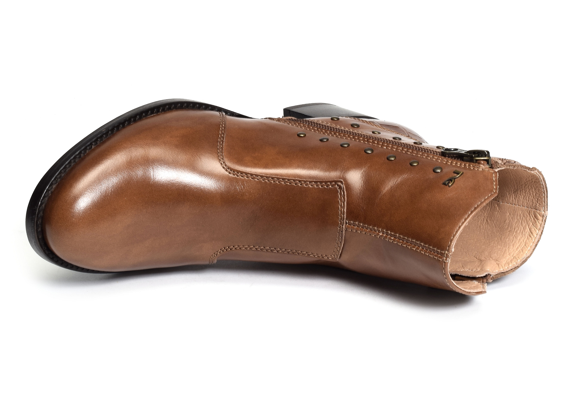 16761 camel