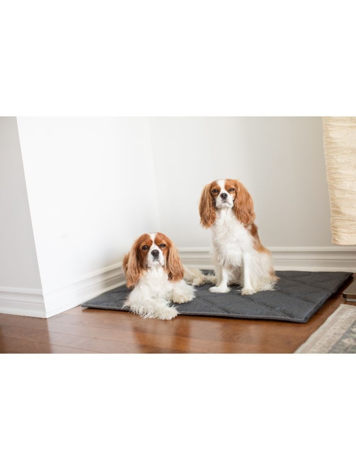 Beonebreed - Upturn memoryfoam Hunde pude119x73cm