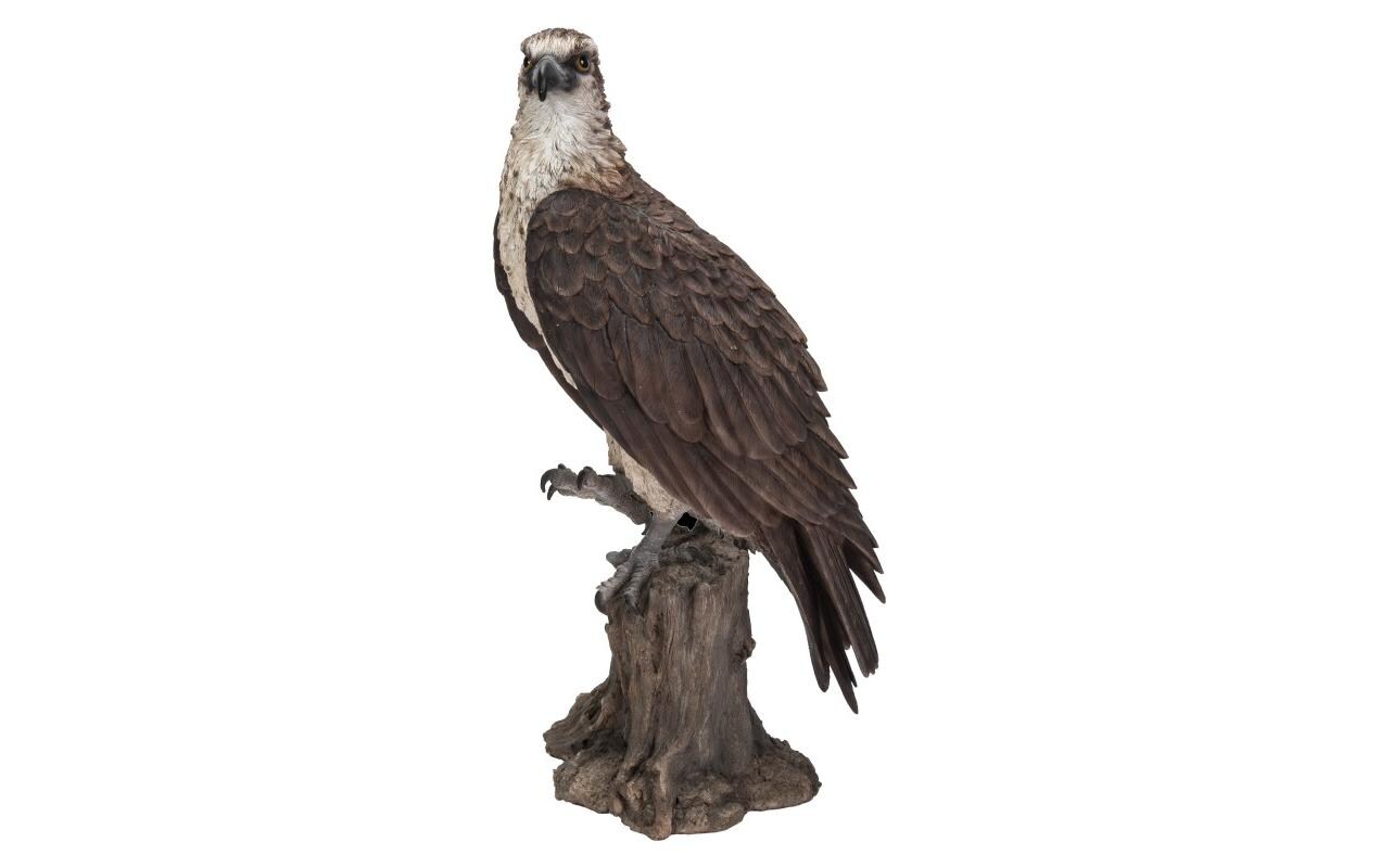 Dekofigur Fischadler 39.5 cmGartenfigur