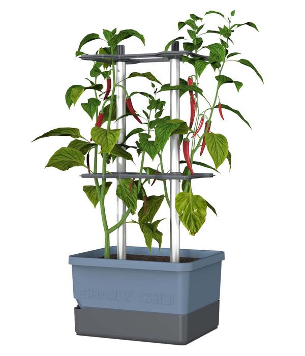 Gusta Garden Chili-Pflanztopf Charly Chili,