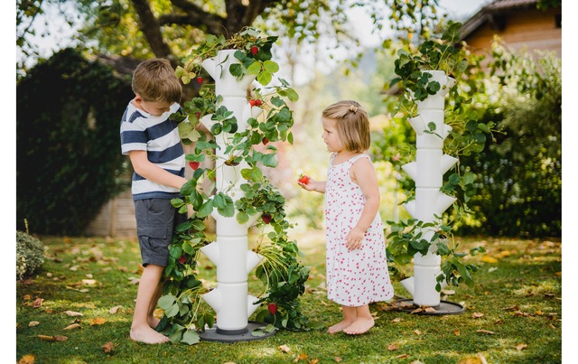 Gusta Garden Pflanzkübel »SISSI ST«