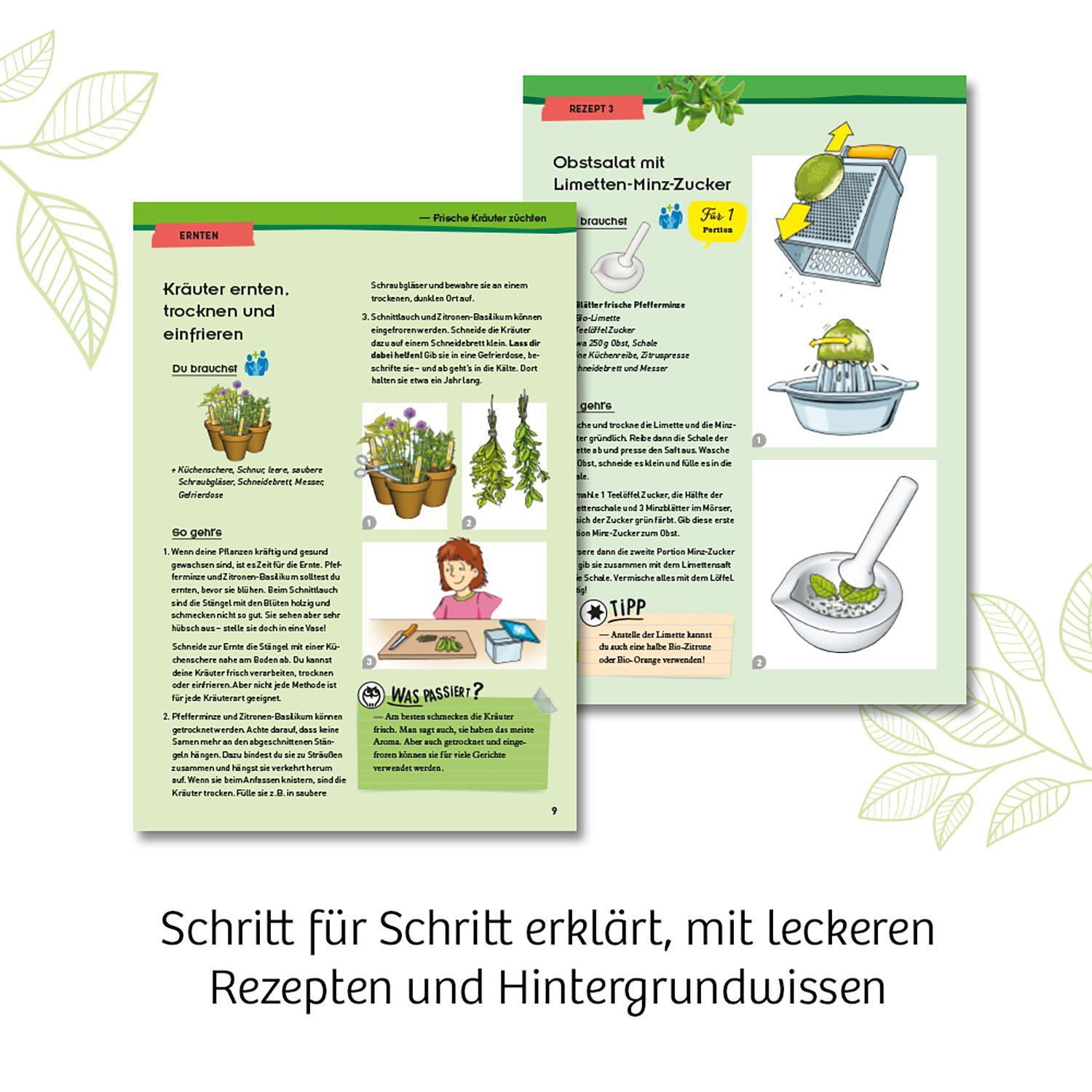 Experimentierkasten KRÄUTERGARTEN