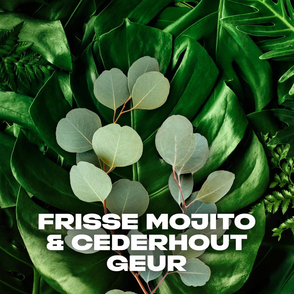 helemaal. goedWild Green Mojito & Cedarwood 3-in-1 douchegel - 6 x 250 ml