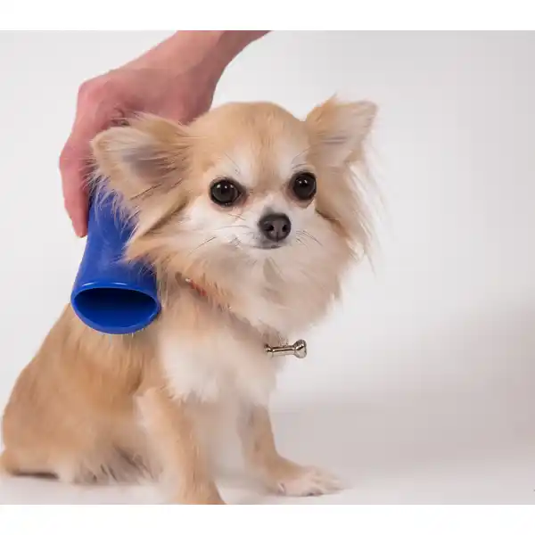 Pet Teezer, Enthaarbürste für kleine Hunderassen