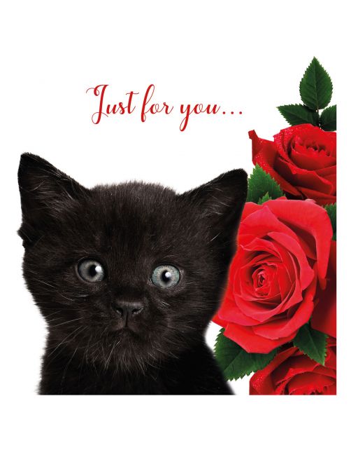 Plenty Gifts Kaart Black Kitten - Cadeau - 13.7x13.7 cm