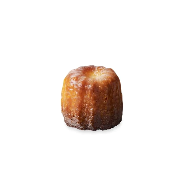 Set de 2 Elastomoules canelés et mini-canelés De Buyer