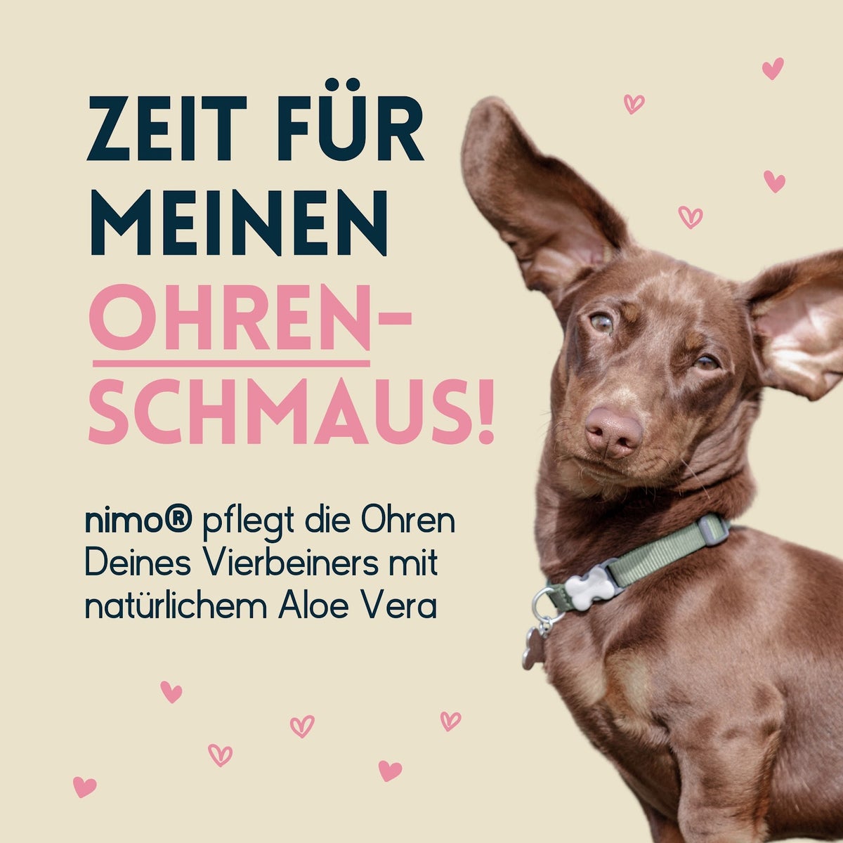 nimo® Oorreiniger • voor honden, katten en huisdieren met Aloë Vera en Panthenol