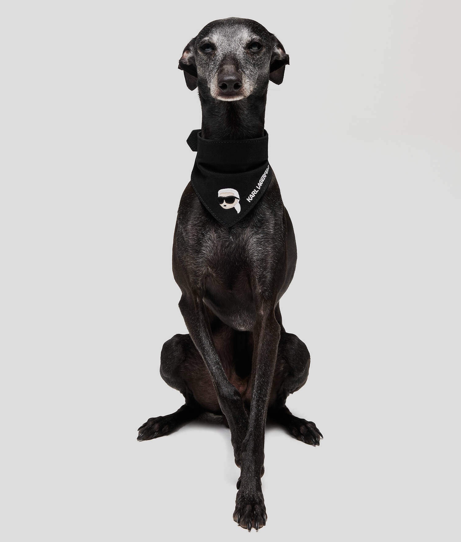 BANDANA K/PET - Noir