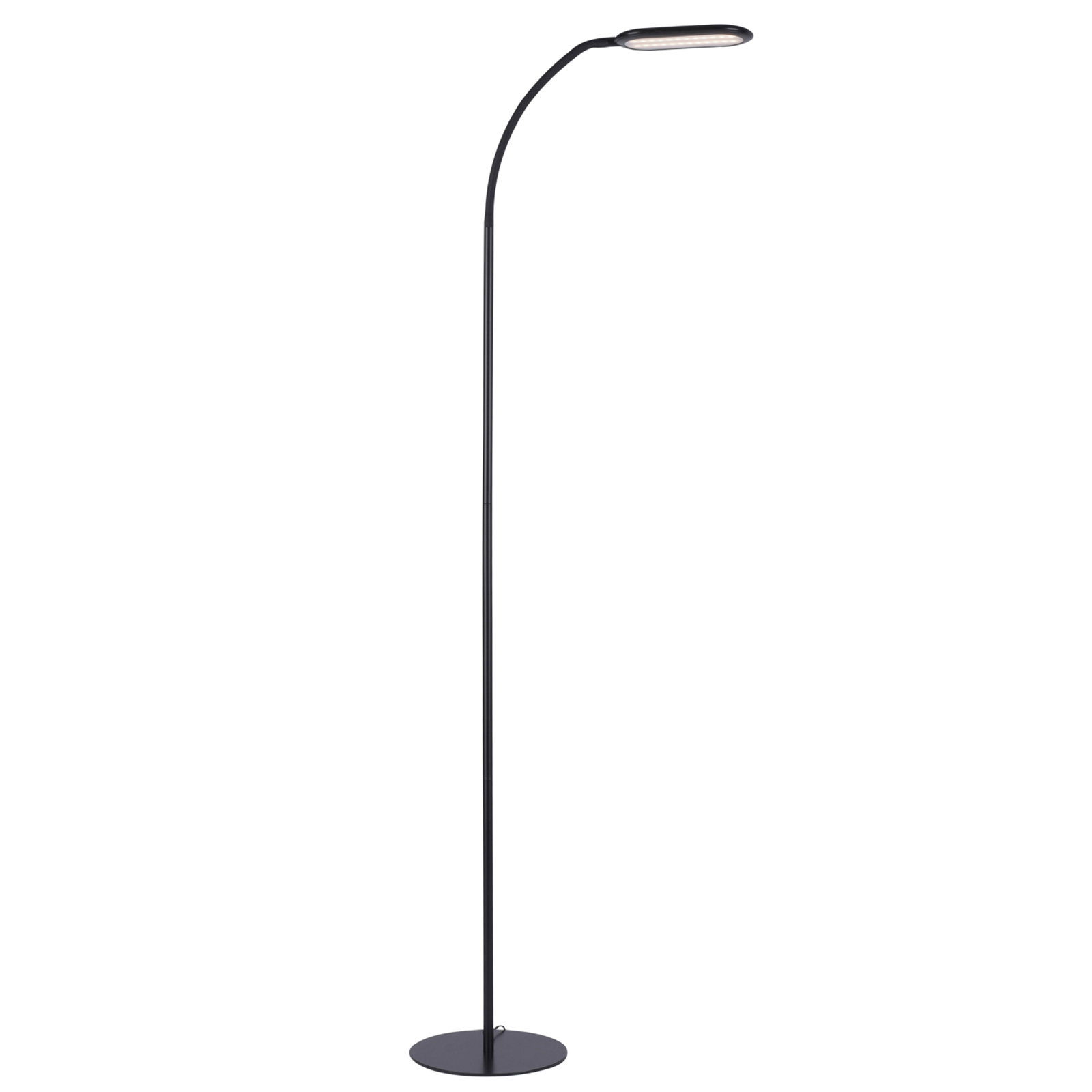 LED-Stehleuchte - schwarz - dimmbar - höhenverstellbar