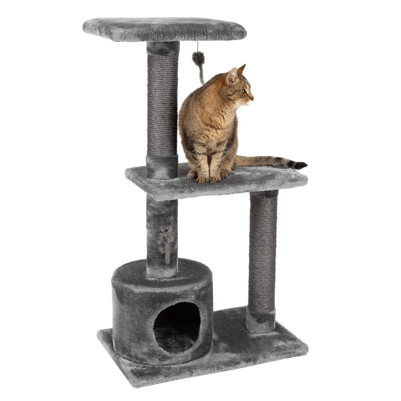 Arbre à chat Erebus