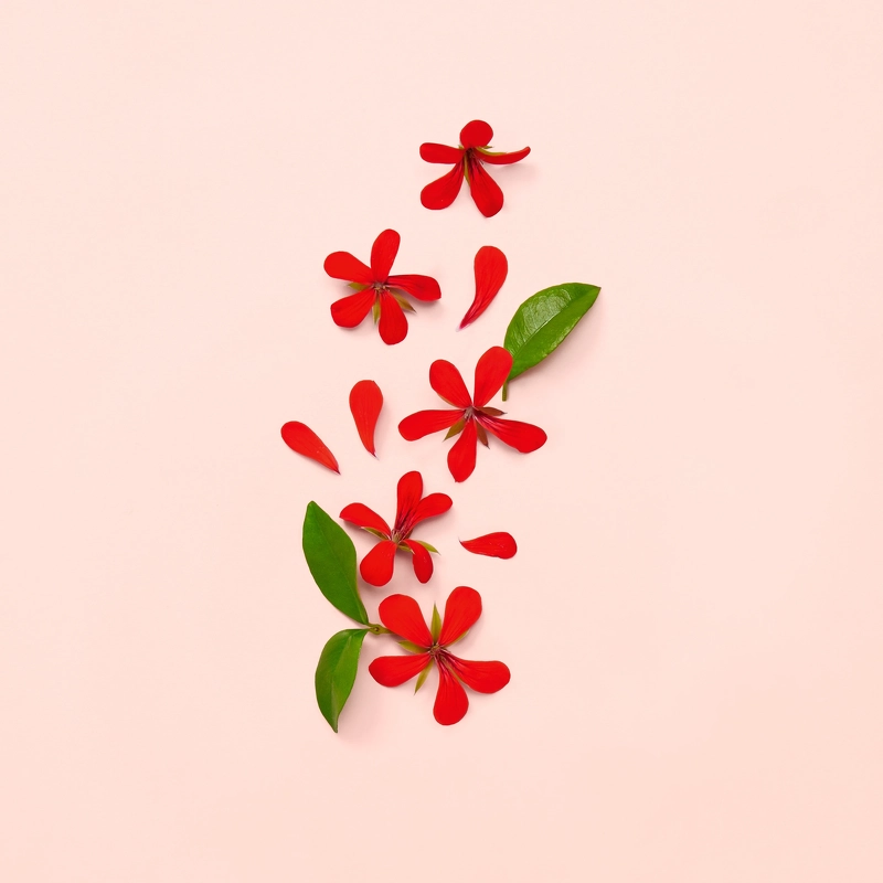 Gucci Bloom EDP 100 ml