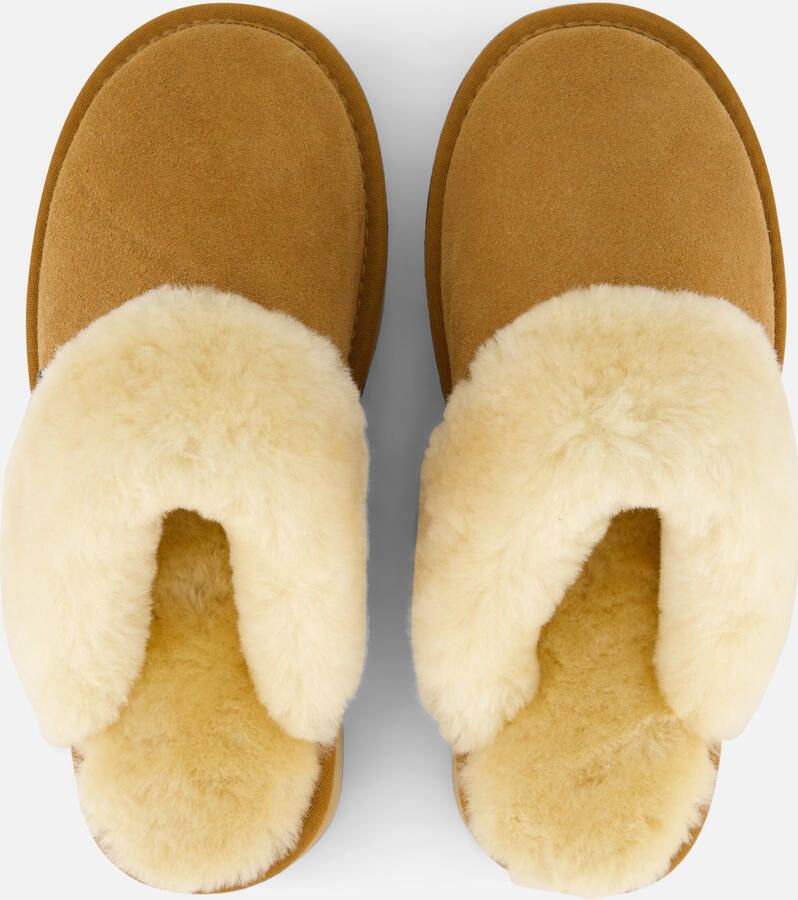 Warmbat Suède Pantoffels voor Wolkenwandeling Brown Dames