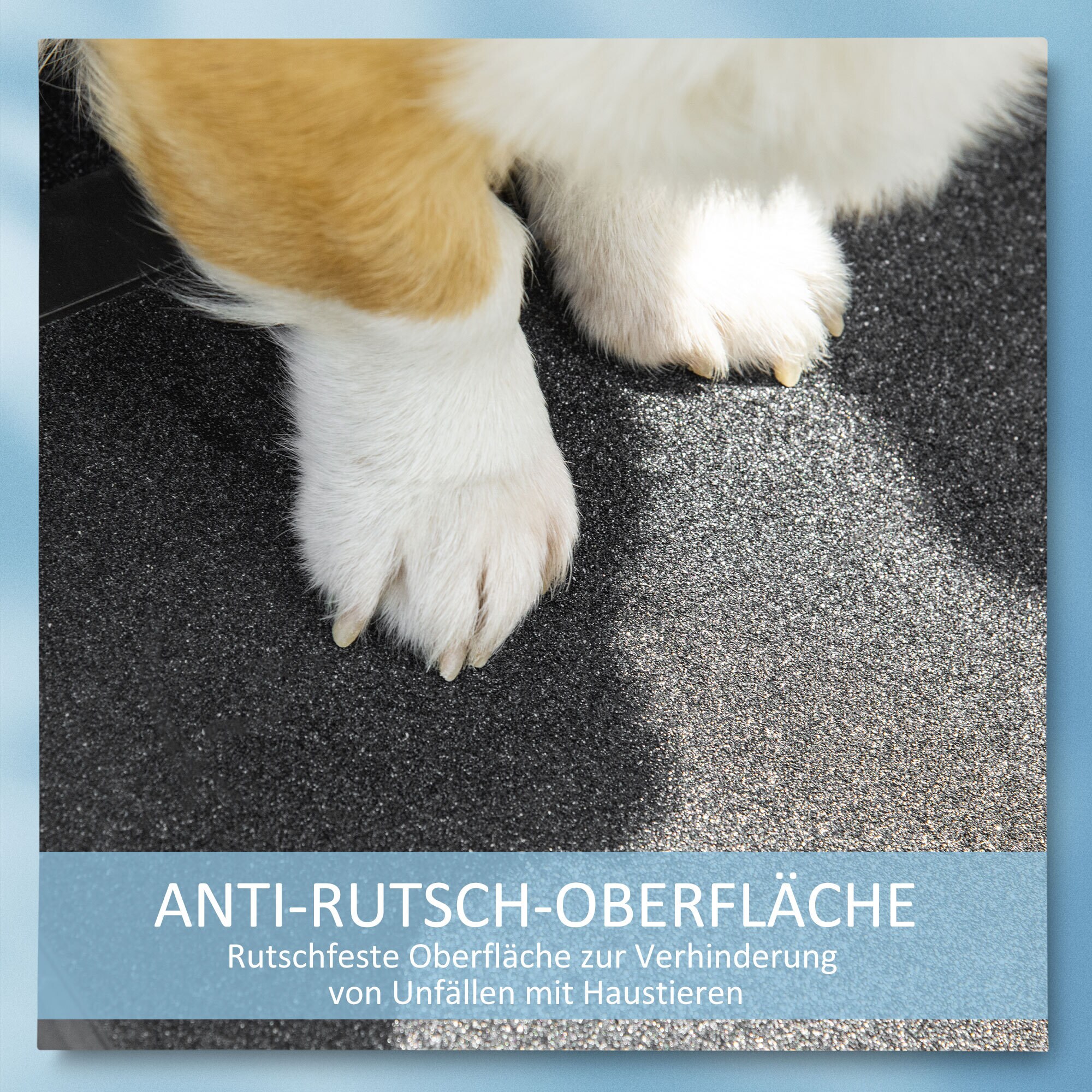 PawHut Haustierrampe mit Tragegriff schwarz, silber 183L x 42B x 6,5H cm