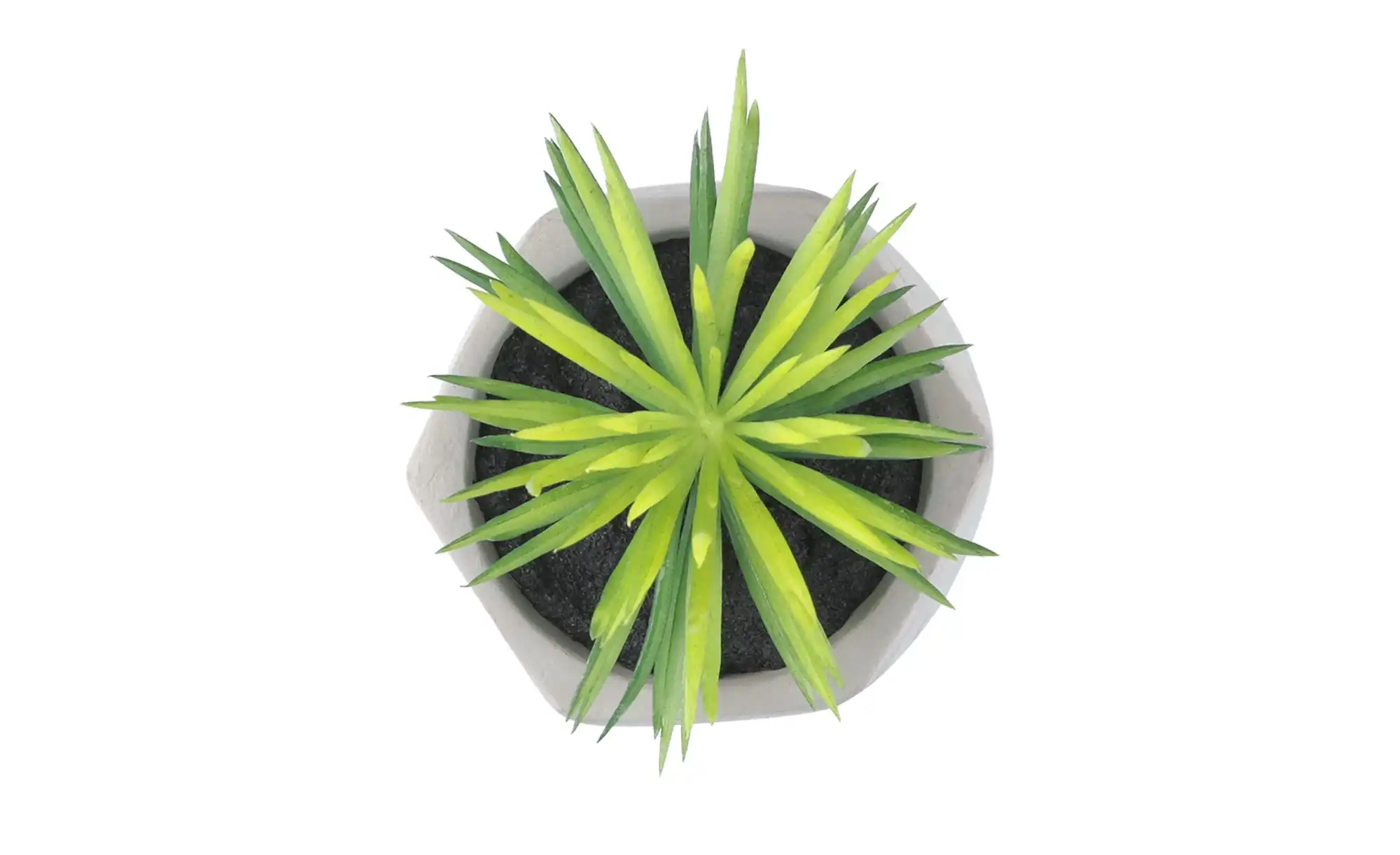 Kunstblume Sukkulente