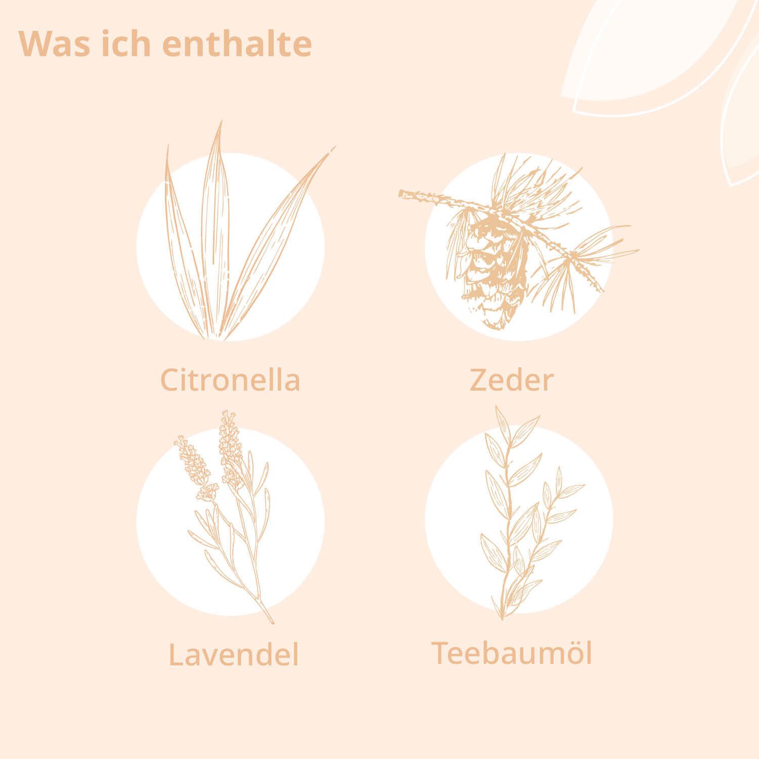 kindgesund® Bio-Insekten Roll-On