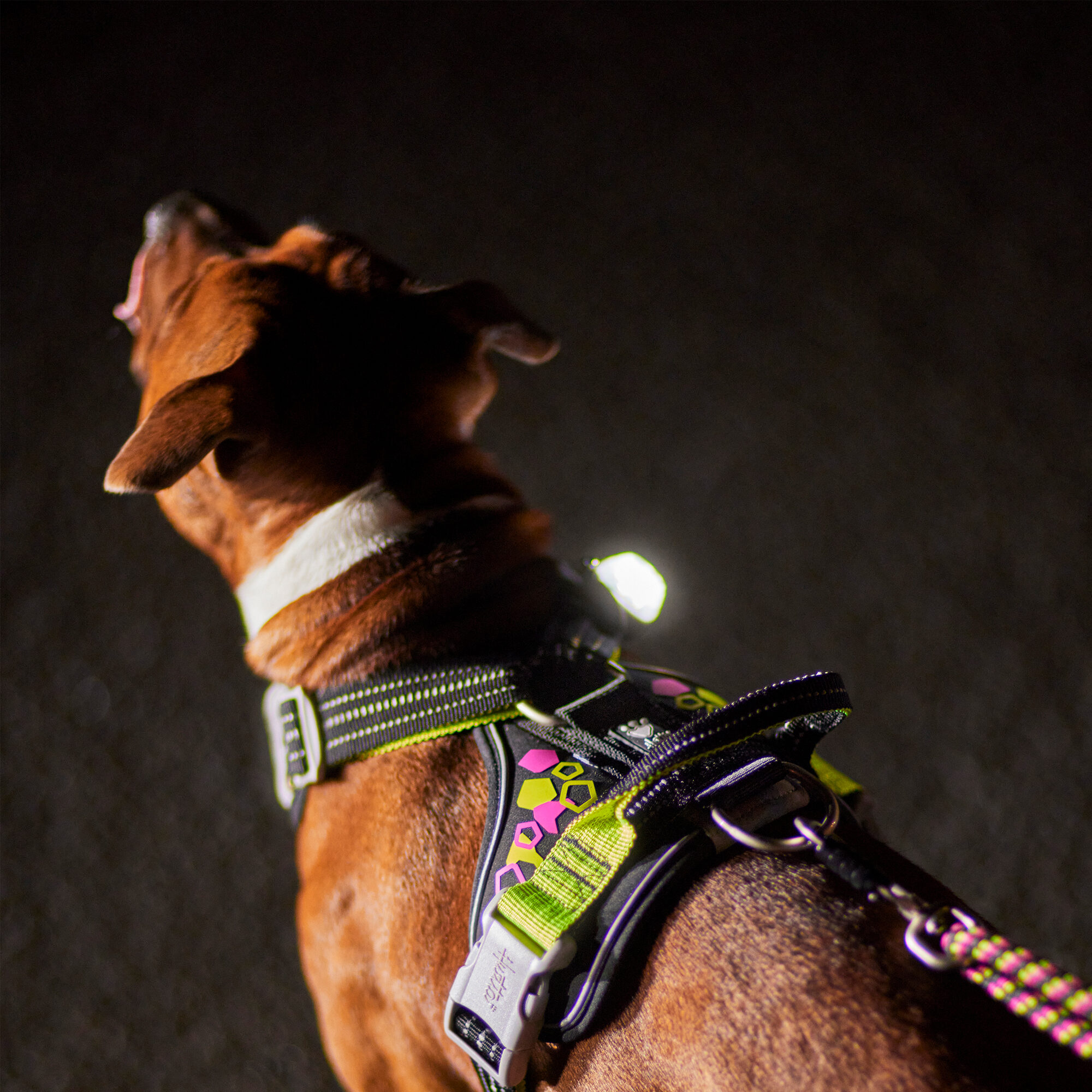 Hurtta Weekend Warrior Harnas - Neon Licorice
