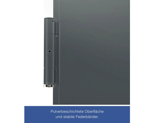 Hörmann multifunctionele kelderdeur T30 H8-5 RAL 7016 antracietgrijs 875x2000 mm omkeerbaar links/rechts