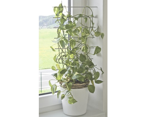 Bloemensteun FloraSelf 24 x H 44 cm, zilver