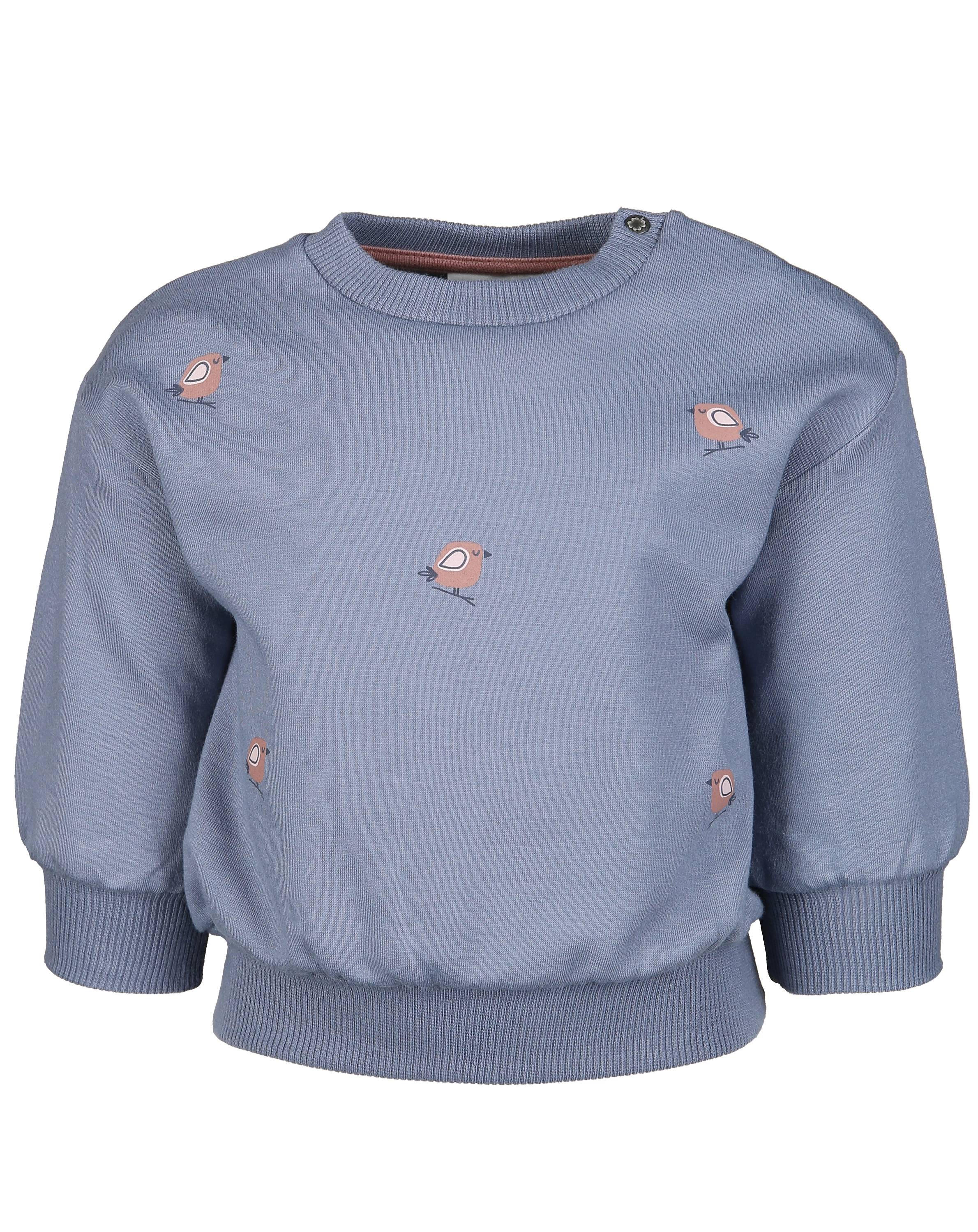 Sweatshirt BIRDY in ink pastell