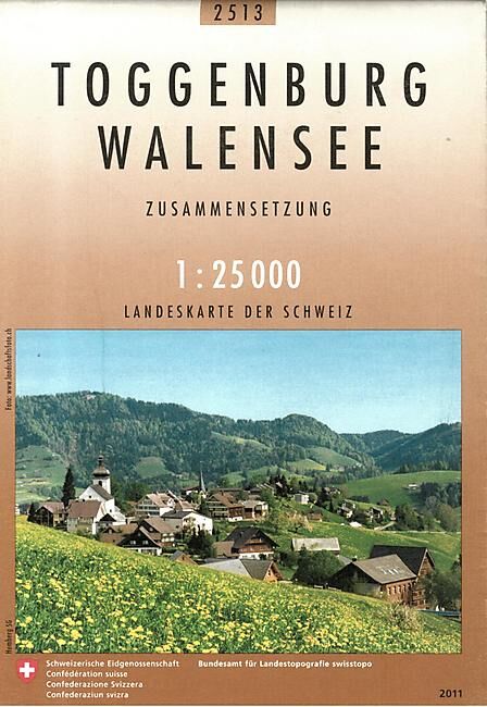 BUNDESAMT - 2513 TOGGENBURG WALENSEE ECHELLE 1 25 000