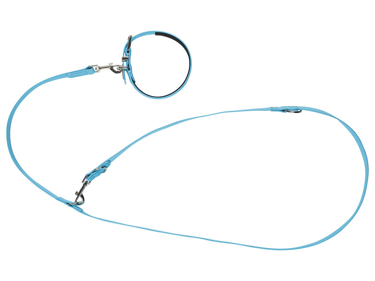 Hondenhalsband en -lijn