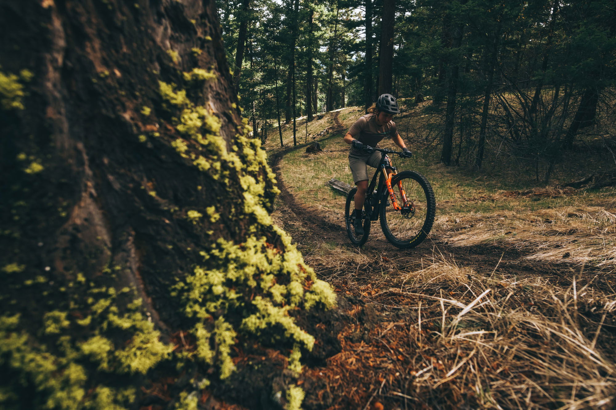 Rocky Mountain Element Alloy 50