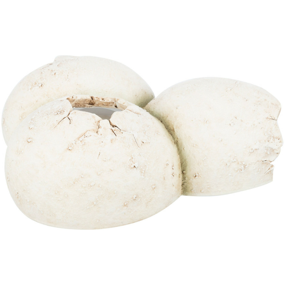 Grotte en motif coquille d'œuf 15 x 6 x 12 cm pour reptiles