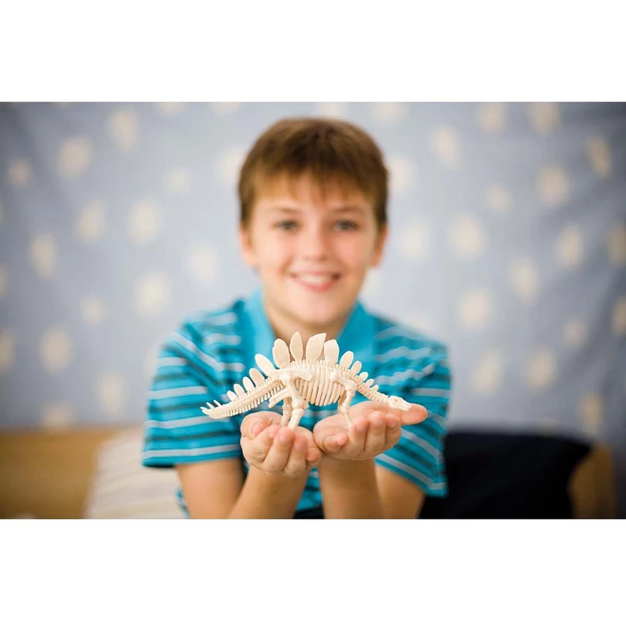 4M KidzLabs - Dinosaurier Ausgrabung Velociraptor Mehrfarbig