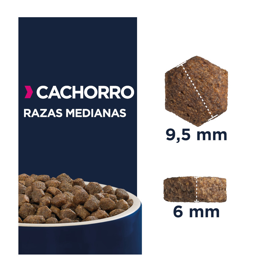 Ração Eukanuba para Filhotes de Porte Médio com Frango