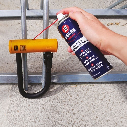 Bombe Huile 3en1 pro - 250 mL