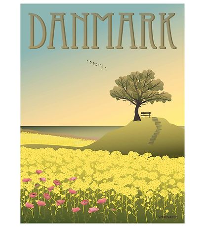 Vissevasse Poster - 30x40 - Dänemark - Die Rapsfelder
