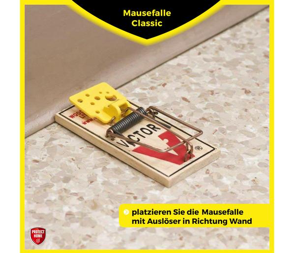PROTECT HOME Mausefallen Classic, 2 Stk.