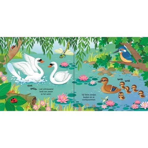 Uitgeverij usborne geluidenboek vogels