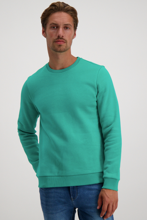 Cars groene heren sweater